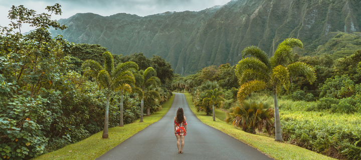 When is the Best Time to Visit Hawaii