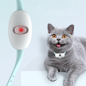 🔥Electric Smart Amusing Collar for Kitten