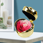 Preserved Flower Rose