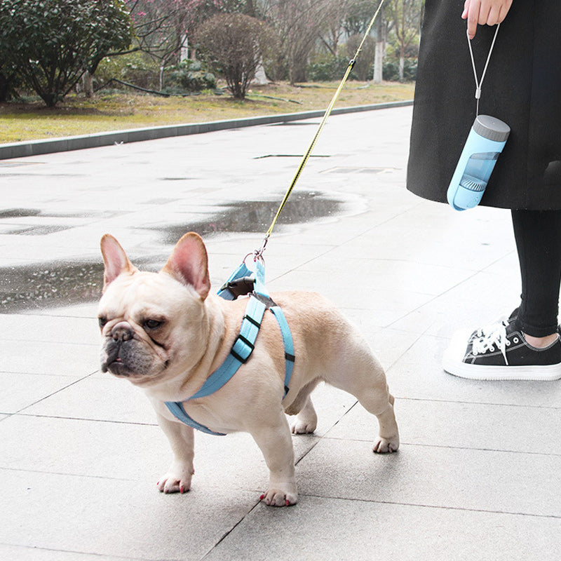 Portable Puppy Water Dispenser