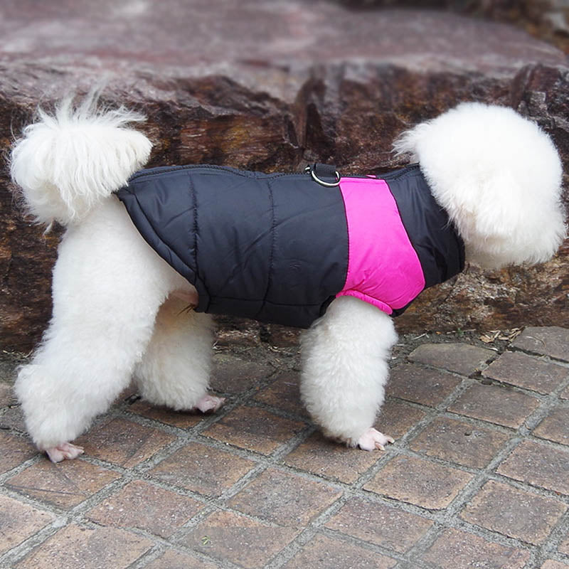 Winter Thickened Dog Clothing