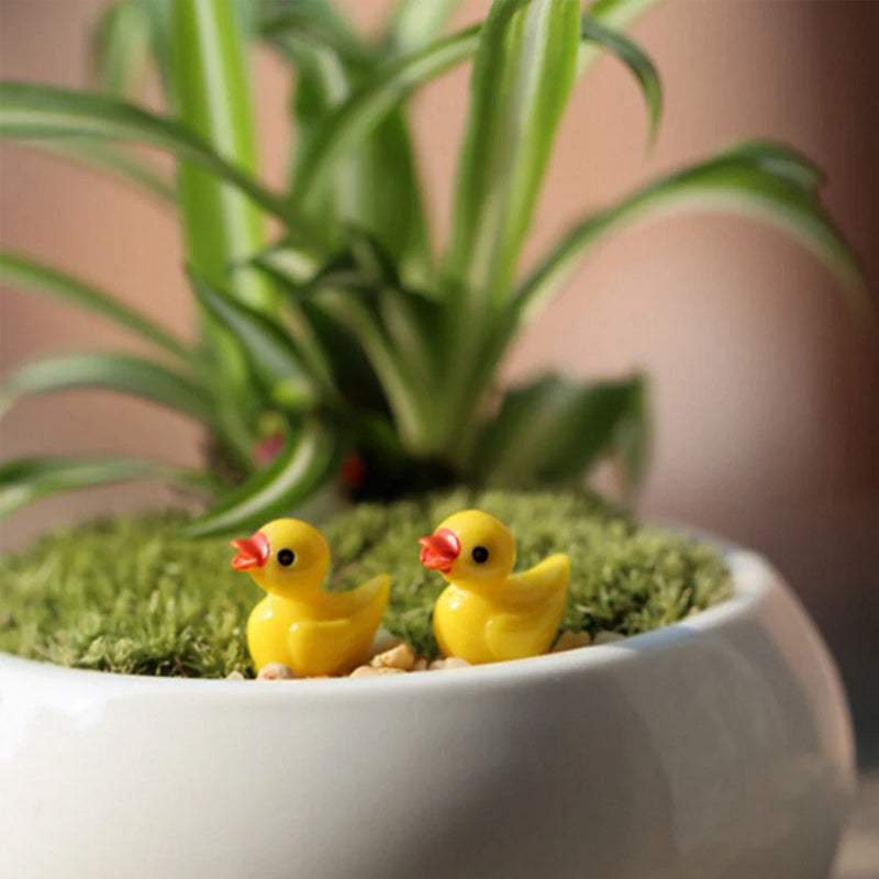 🦆Tiny Ducks | Challenge Hiding Ducks(50 PCS)