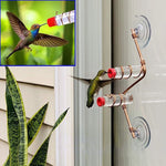 Window Hummingbird Feeder