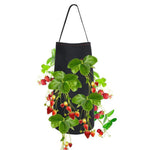 Hanging Strawberry Planting Bag