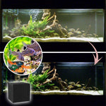 Eco-Aquarium Water Purifier Cube