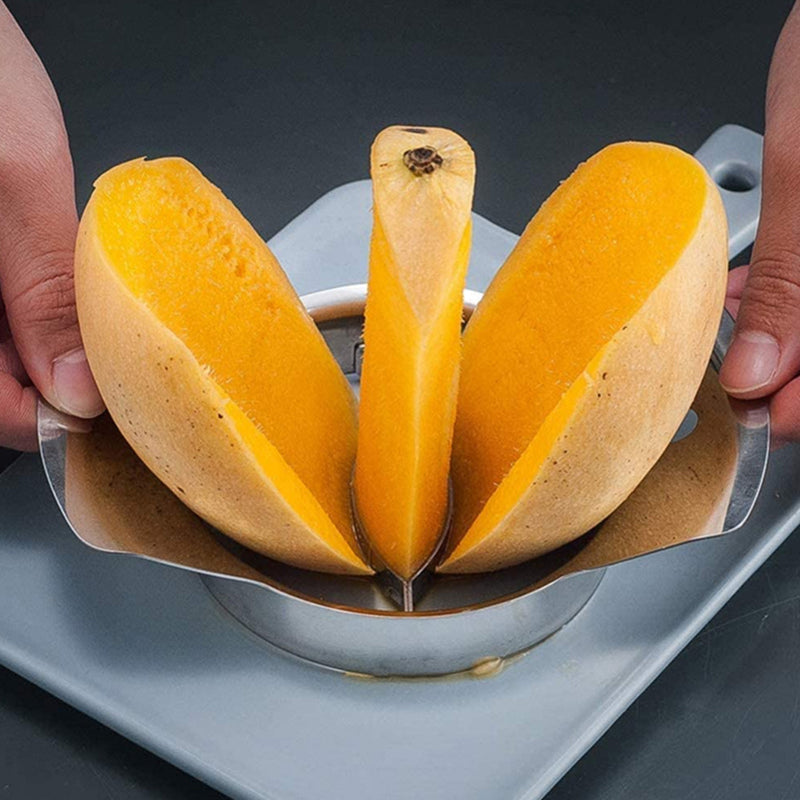 Stainless Steel Mango Peeling Separator