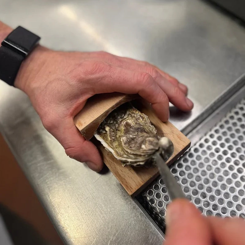 🦪Oyster Shucking Clamp