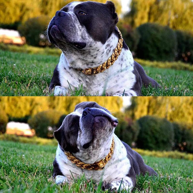 Heavy Duty Metal Chain Collar for Large Dogs