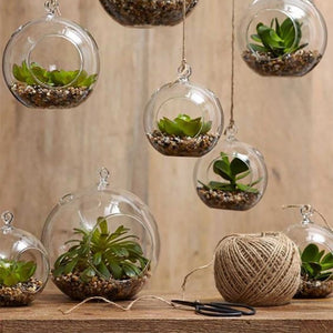 Hanging Glass Plant Pots