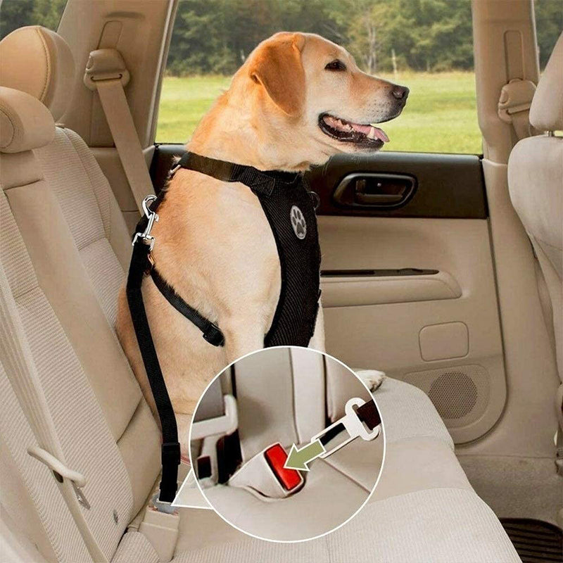 Dog Safety Harness Set