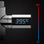 Shower Thermometer