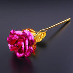 24K Gold Rose