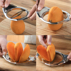 Stainless Steel Mango Peeling Separator