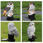 Solar Owl Lamp