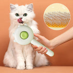 Pet Combing Brush