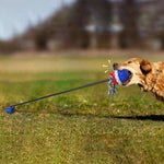 Outdoor Pet Rope Ball