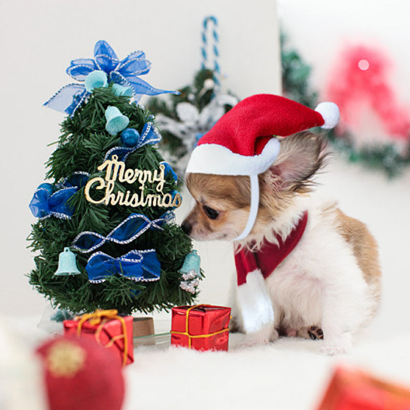 Christmas Decoration Santa Hat with Scarf