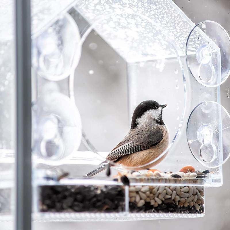 Window Bird House Feeder