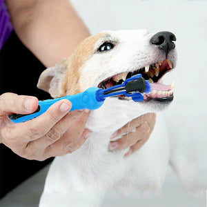 Three Sided Pet Toothbrush