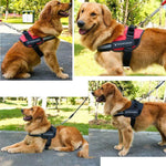 Reflective all-in-one No Pull Dog Harness