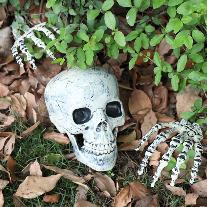 Realistic Skeleton Halloween Decoration