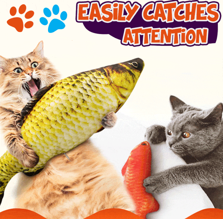 Catnip fish toy